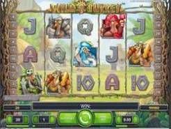 Wild Turkey Slots
